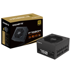Gigabyte P750GM 750W Fully Modular Design 80 PLUS GOLD (Power Cord: UK)