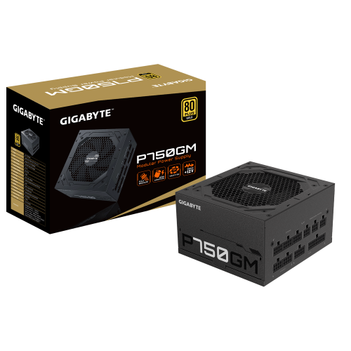 Gigabyte P750GM 750W Fully Modular Design 80 PLUS GOLD (Power Cord: UK)